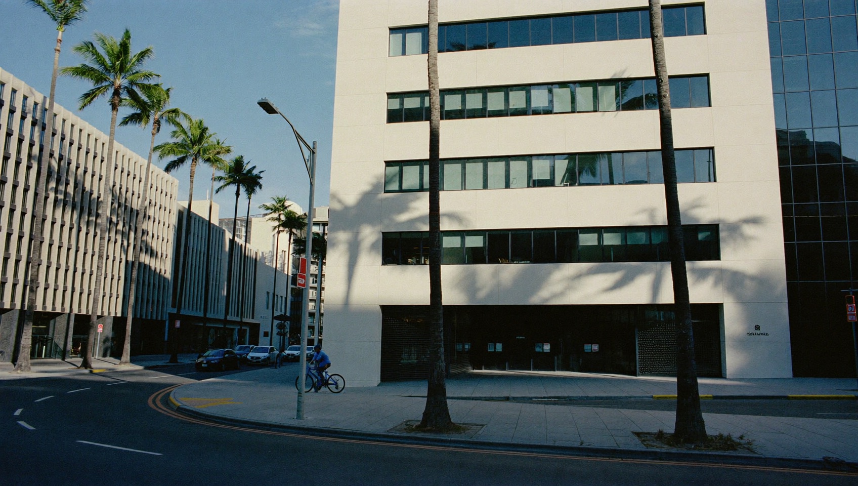 Palm-lined office buildings in the Florida sun